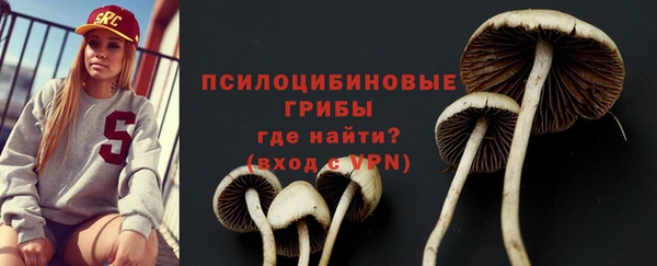 тгк Алзамай