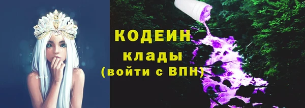 гидра Костерёво