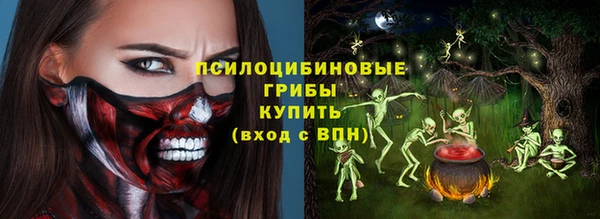 ПСИЛОЦИБИНОВЫЕ ГРИБЫ Алексеевка